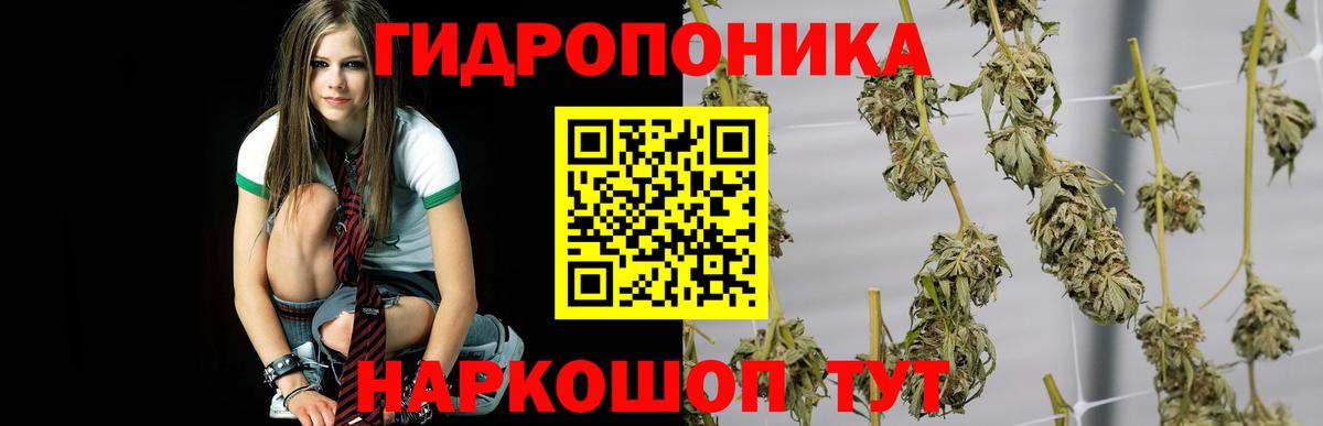 Домодедово  Конопля конопля  Канабис OG Kush  Вход с VPN  Каннабис конопля 